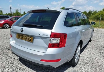 Skoda Octavia III 2017 Skoda Octavia Skoda Octavia 1.6 TDI Edition 1.6 Diesel 110KM, zdjęcie 3