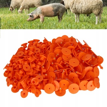 200 SZTUK Zagęszczony znacznik ucha owcy Numer