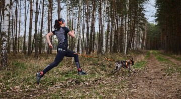 CaniX Belt Pro Беговое полотно Non-stop черный (M)