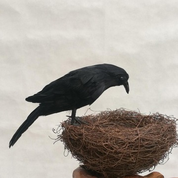 2 шт./компл. реалистичные вороны-птицы для сада