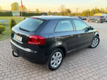 Audi A3 8P Hatchback 3d 1.6 102KM 2004 Audi A3 3-drzwiowe 1.6mpi 102KM Klima Alusy Grzane fotele Sprawdz 1.6, zdjęcie 25