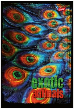 Билл Б5 96 тысяч. верхняя половина сетки, Unipap