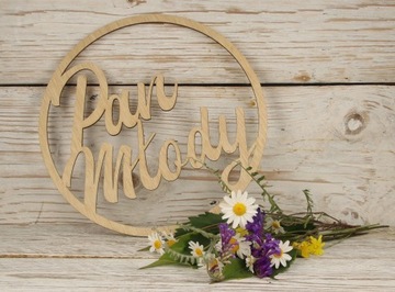 КОЛЕСА ДИСКИ ИНСТРУКЦИЯ МОЛОДАЯ НЕВЕСТА СВАДЬБА 50 СМ 2 шт.