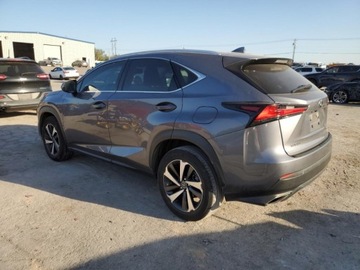 Lexus NX II 2021 Lexus NX 300 Base 2021 2.0l 2.0 Benzyna 235KM, zdjęcie 1