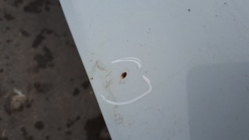 S4 B8 ЛИФТ A4 КАПОТ КРЫШКА ДВИГАТЕЛЯ LS9R