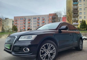 Audi Q5 I SUV Facelifting 2.0 TDI 150KM 2016 Audi Q5 2.0TDI 150KM RADAR LEDY XENON NAVI ALU 19 SUPER CENA POLECAM, zdjęcie 2