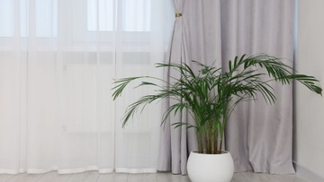 FIRANA GOTOWA KLASYCZNA Z LAMÓWKĄ 300x240 NA BALKON GŁADKIE DŁUGIE FIRANKI