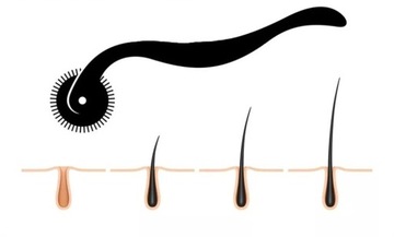 ВАЛИЦ ВАЛИЦ ДЛЯ БОРОДЫ, ВАЛИЦ ДЛЯ УПЛОТНЕНИЯ