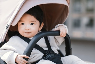 Коляска Туле ШАЙН | НОВИНКА