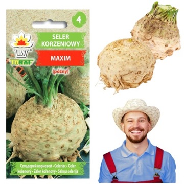 SELER KORZENIOWY NASIONA SELERA MAXIM PÓŹNY BIAŁY DO WYSIEWU 1G