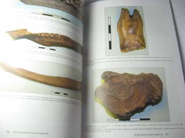 Археология Старгарда III Рыночная площадь Старгарда