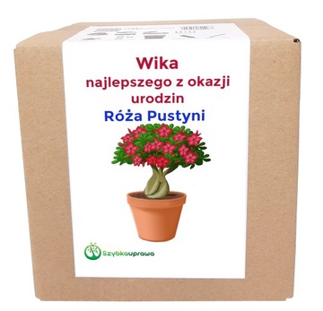 Ekologiczny prezent zestaw róża pust urodziny Wika