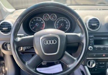 Audi A3 8P Hatchback 3d 1.6 102KM 2008 Audi A3 Sportback 1.6 MPI 102KM skory PDC cliamtronic tempoamt alu grzane, zdjęcie 17