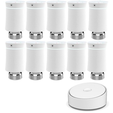 Zigbee Brama Tuya+10X Głowica Termostatyczna TRV