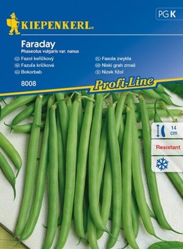 Fasola Szparagowa 'Faraday' - Odporna - Kiepenkerl