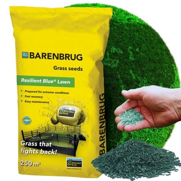 Trawa UNIWERSALNA - Barenbrug RESILIENT BLUE 5 kg