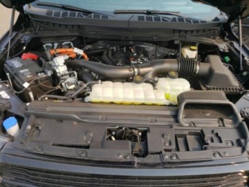 Ford 2024 Ford F150 2024, 3.5L, 4x4, PLATINUM, HYBRID, od ubezpieczalni 3.5 Hybryda, zdjęcie 10