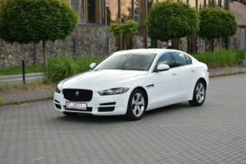 Jaguar XE Sedan 2.0 i4 250KM 2018 Jaguar XE 25T 2.0T 250KM 2018r. Skóra Panorama, zdjęcie 11