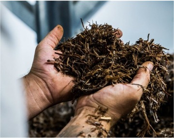 БЕЛЫЕ ГРИБЫ БЮЛЛЕТЕНЬ 20 КГ + ИНСТРУКЦИЯ + ГАРАНТИЯ НОМЕР 1 В ПОЛЬШЕ