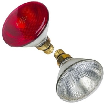 Promiennik żarówka kwoka lampa grzewcza 175 W