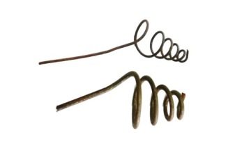 весна спираль виноград виноград маленький