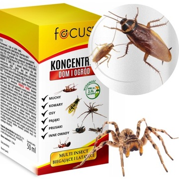 Oprysk na owady latające biegające 50ml FOCUS pająki prusaki uniwersalny