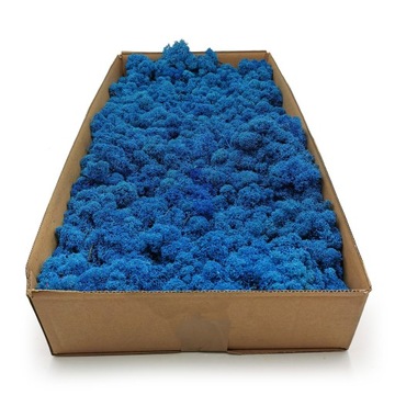 Mech chrobotek fiński 500g netto