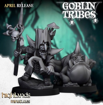 Swamp Goblin Hero With Frog