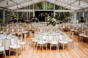 СВАДЕБНЫЙ БАНКЕТНЫЙ СТУЛ CHIAVARI METAL CHIAVARI шампанское + подушка