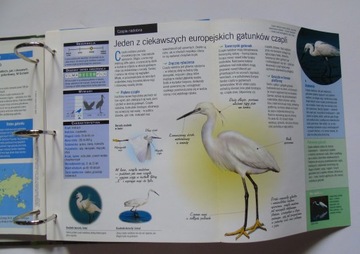 PTAKI POLSKI Издания Атлас