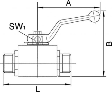 Двухходовой шаровой кран BKH BSP DN25 1