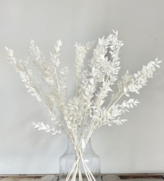 РУСКУС ОТБЕЛЕННЫЙ СУШЕНЫЙ БЕЛЫЙ РУСКУС ДЛЯ КОМПОЗИЦИИ БУКЕТА 5ШТ