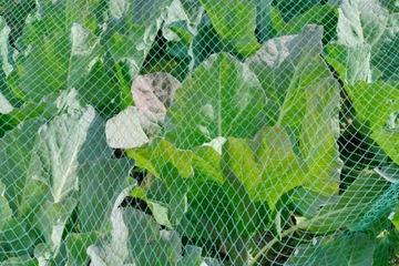 Сетка для птиц из скворца, 4 х 5 м, защита от птиц, прочное, толстое плетение с УФ-излучением