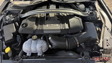 Ford Mustang VI Convertible Facelifting 5.0 Ti-VCT 450KM 2019 Ford Mustang 5.0v8 GT cabrio wersja Premium najbogatsza wersja 5.0 Benzyna, zdjęcie 24