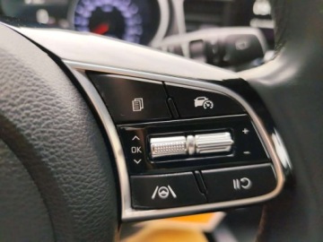 Kia Ceed III Hatchback Facelifting  1.5 T-GDI 140KM 2024 Kia Ceed Salon PL 1,4 T 140KM Wersja M 1.5 Benzyna 140KM, zdjęcie 21