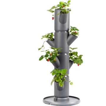Gusta Garden SISSI STRAWBERRY samonawadniająca sadzarka 4 poziomy,