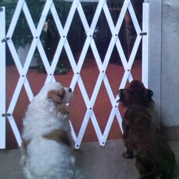 Ворота для собак у двери