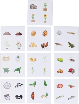 Пазл Динозавр Деревянные Игрушки Головоломка Танграм