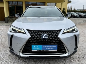Lexus UX 2021 Lexus UX 250h,Hybryda,4x4,Gwarancja, zdjęcie 1