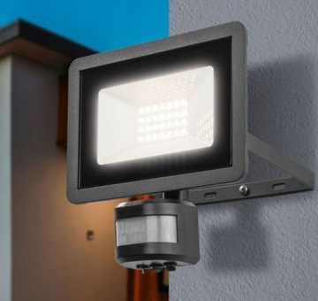 BORYGO NOWY 5L ROZOWY