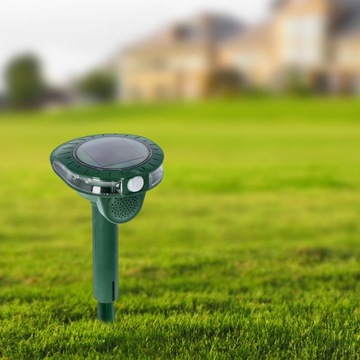 Вы отпугиваете куниц, кошек и лесных зверей.