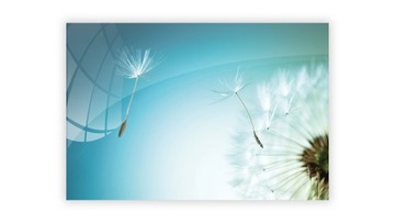 Магнитная стеклянная доска Одуванчик 60х40см