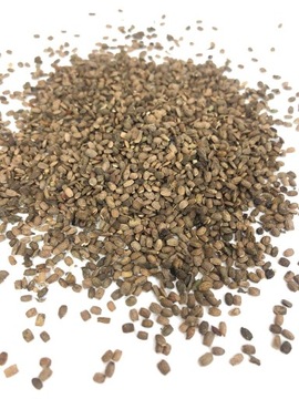Seradela nasiona 10kg