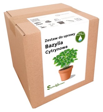 BAZYLIA CYTRYNOWA zestaw do uprawy domowej zioła