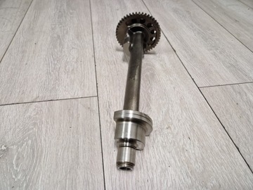 TRIUMPH SPEED TRIPLE 1050 WALEK BALANSER BALANSUJACY ST TIGER BALANS