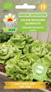 Sałata masłowa głowiasta Królowa Majowych BIO nasiona 1g