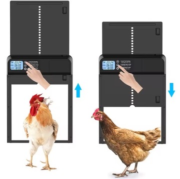 Автоматическая дверь курятника с таймером, защелкивающимся замком, водонепроницаемая