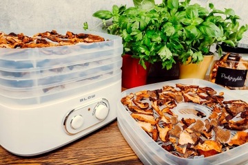 СУШИЛКА ДЛЯ ГРИБОВ, ФРУКТОВ, ОВОЩЕЙ, РЫБЫ, РЕГУЛИРОВКА 5 УЛИЦ