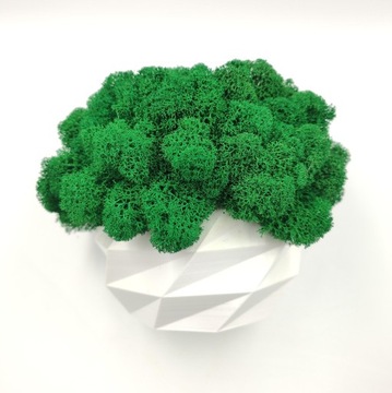 Вазон с мхом хроботек CHROBOTEK MOSS в белом горшке, 3D печать