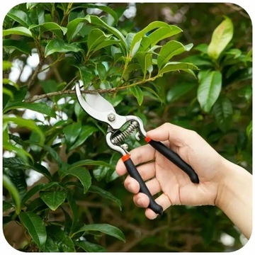 РУЧНЫЕ САДОВЫЕ НОЖНИЦЫ ДЛЯ КРУСТНИКОВ, ЦВЕТОВ, ВЕТОК, ОСТРЫЕ, ТВЕРДЫЕ